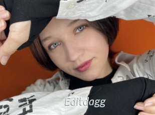 Editdagg