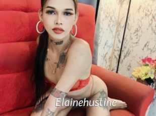 Elainehustine