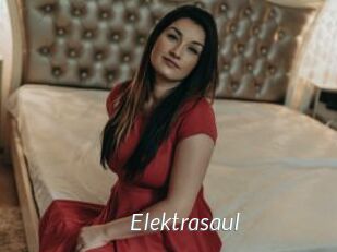 Elektrasaul