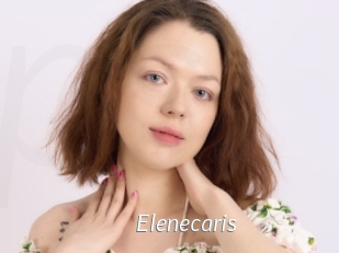 Elenecaris