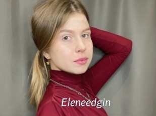 Eleneedgin