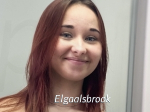 Elgaalsbrook