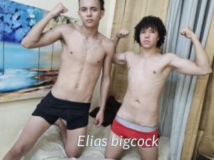 elias_bigcock Porn Star