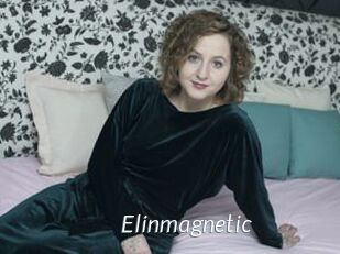 Elinmagnetic