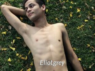 Eliotgrey