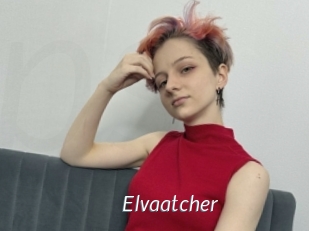Elvaatcher