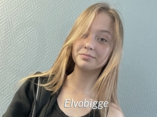 Elvabigge