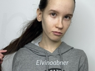 Elvinaabner