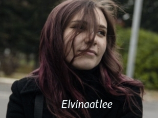 Elvinaatlee