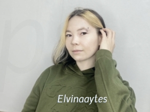 Elvinaaytes