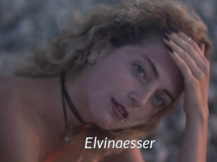 Elvinaesser