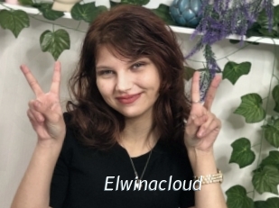 Elwinacloud