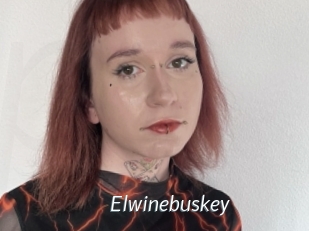 Elwinebuskey