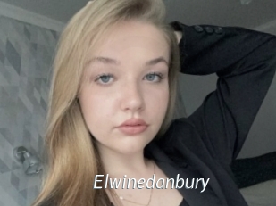 Elwinedanbury
