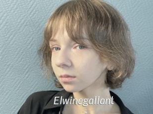 Elwinegallant