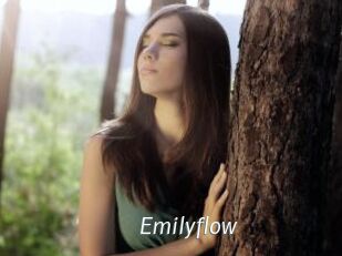 Emilyflow