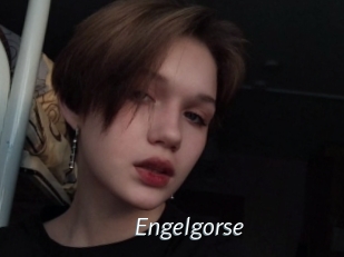 Engelgorse