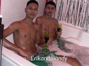 Erikandjuandy