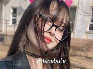 Erlenebate