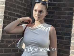 Erlenebrookins