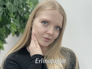 Erlinafugler