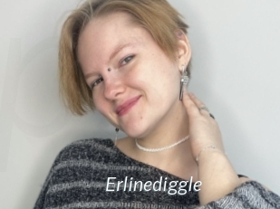 Erlinediggle