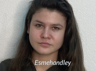 Esmehandley