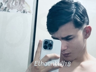 Ethaanbull18