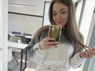 Evaangel