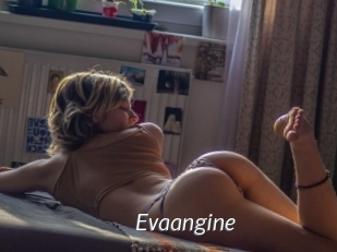 Evaangine