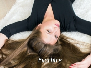 Evachice