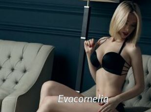 Evacornelia