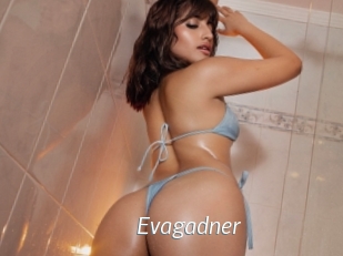 Evagadner