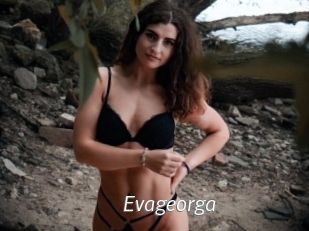 Evageorga