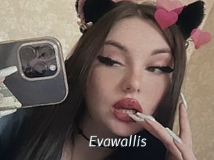 Evawallis