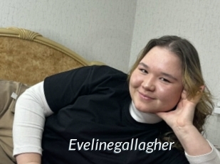 evelinegallagher Porn Star
