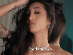 Evelynhays