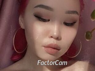 FactorCam