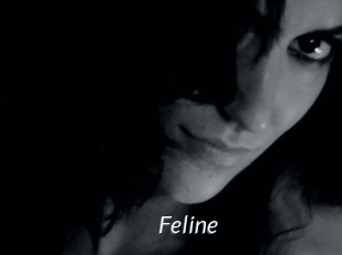 Feline
