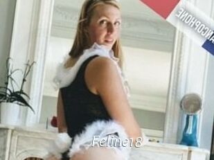 Feline18