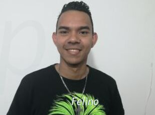Felino