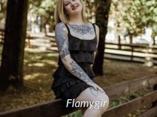 Flamygir