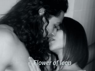 Flower_of_leon