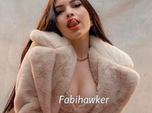 Fabihawker
