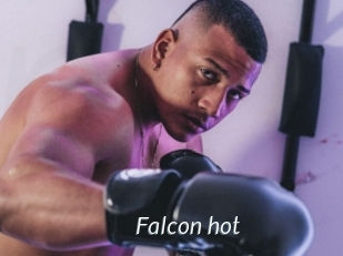 Falcon_hot