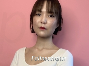 Falinecordner