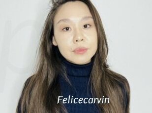 Felicecarvin