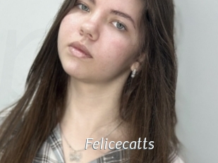 Felicecatts