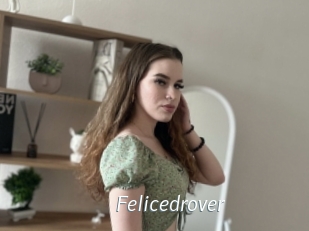 Felicedrover