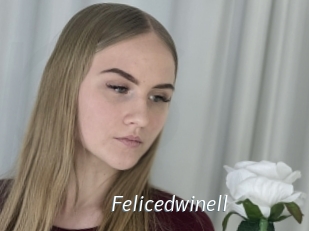 Felicedwinell